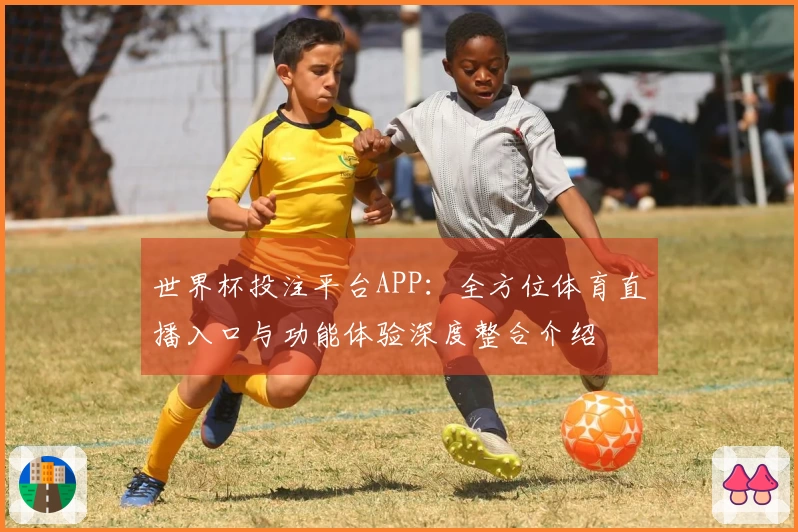 世界杯投注平台APP：全方位体育直播入口与功能体验深度整合介绍