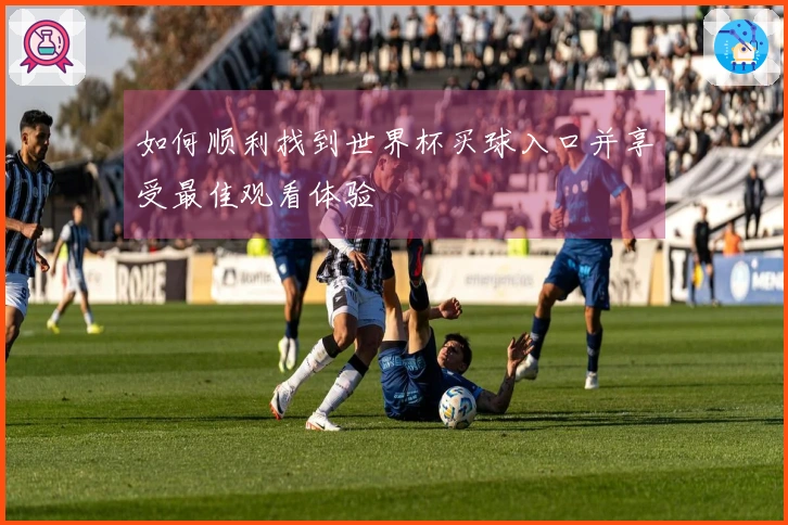 如何顺利找到世界杯买球入口并享受最佳观看体验