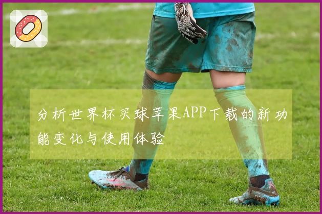分析世界杯买球苹果APP下载的新功能变化与使用体验