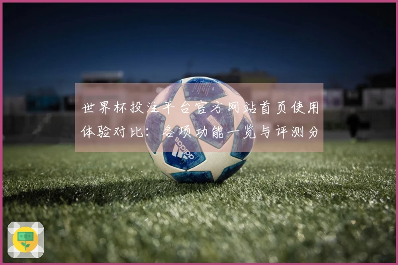 世界杯投注平台官方网站首页使用体验对比：各项功能一览与评测分析