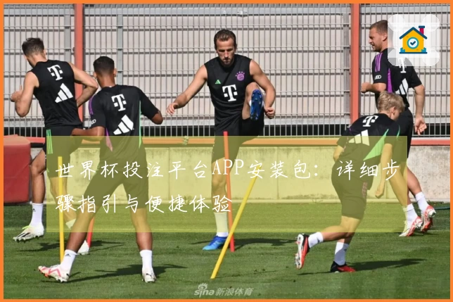 世界杯投注平台APP安装包：详细步骤指引与便捷体验