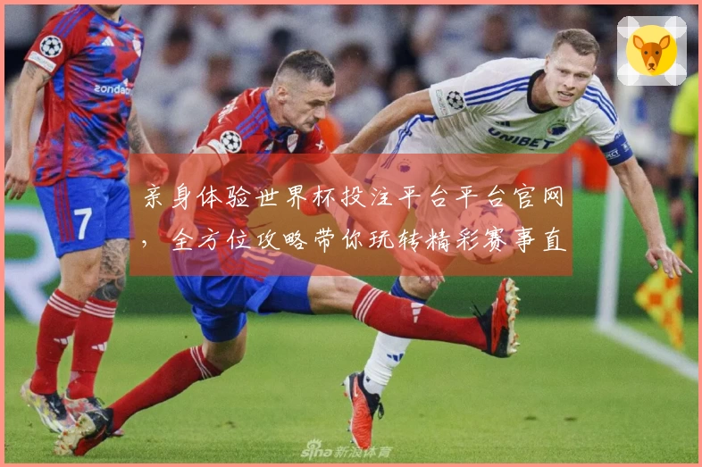 亲身体验世界杯投注平台平台官网，全方位攻略带你玩转精彩赛事直播